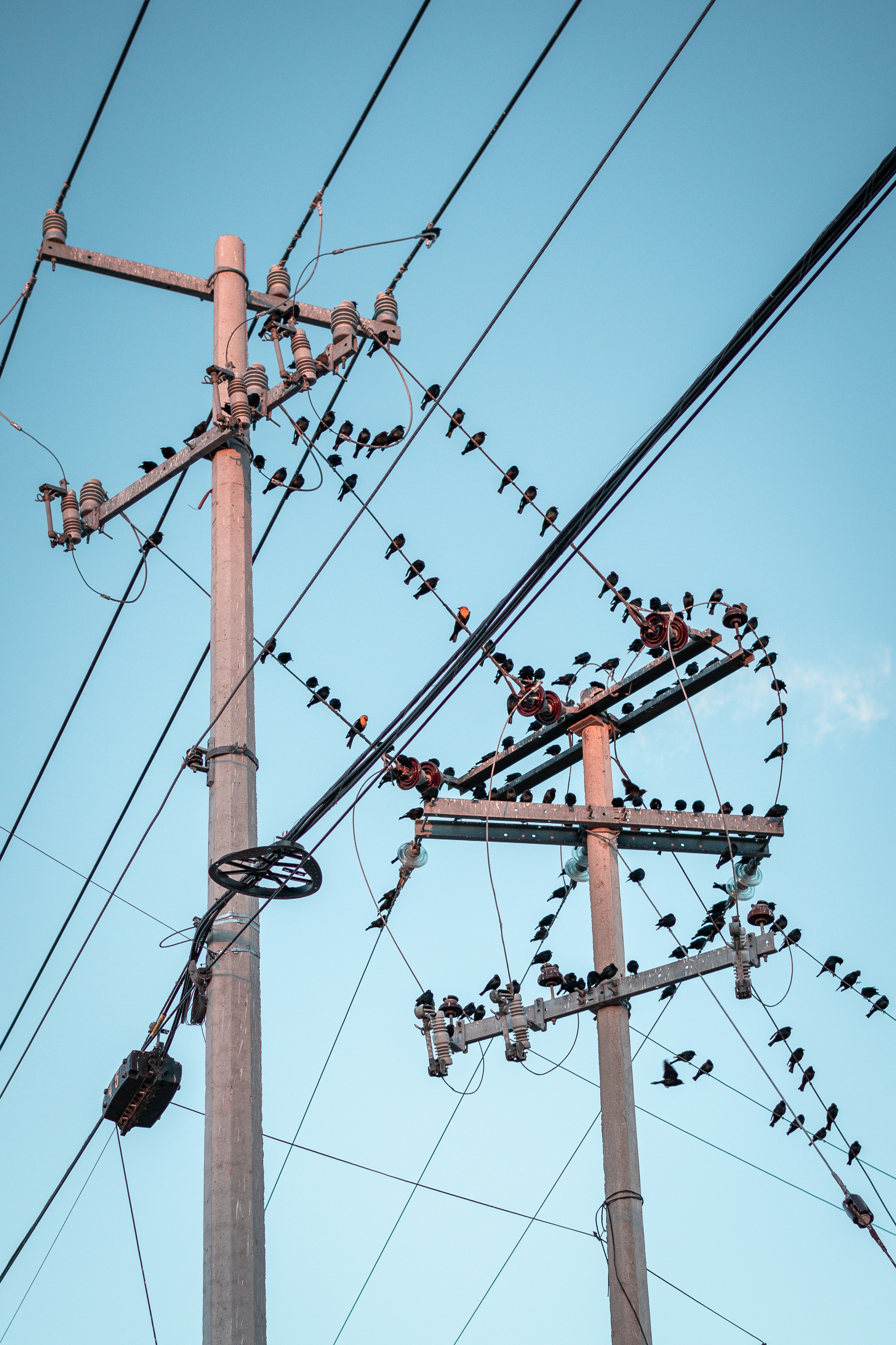 brown wooden electric post under blue sky during daytime